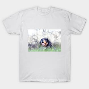 Bernese Mountain Dogs T-Shirt